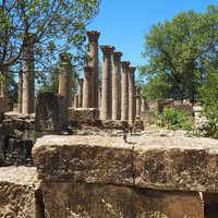 The megalithic tombs are located to the right of the Schola des Juvenes