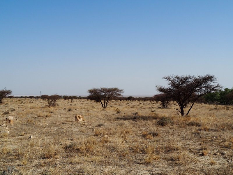 Bouhedma national park and Sebkhel En Noulal
