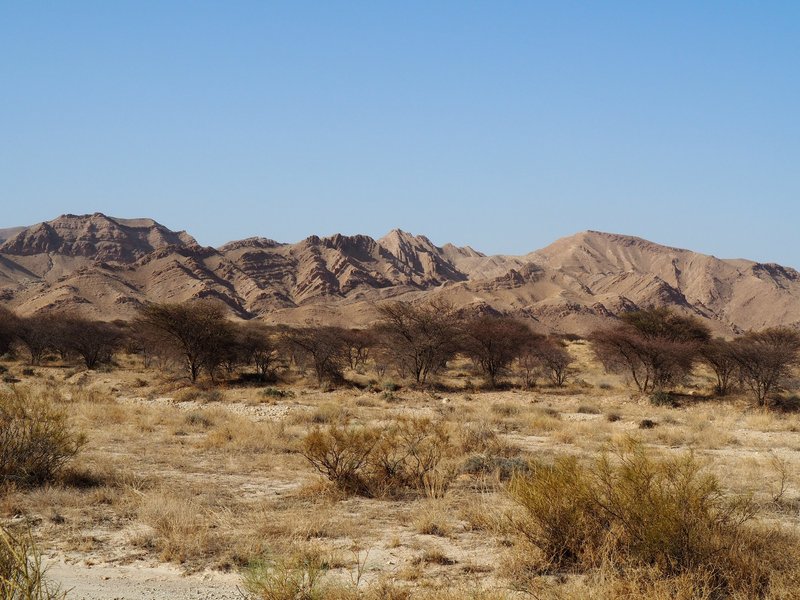 Bouhedma national park