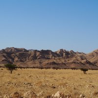 Parc National de Bouhedma