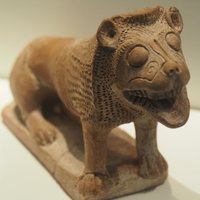 Friendly little lion