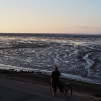 The Wadden sea off the Lauwersmeer national park