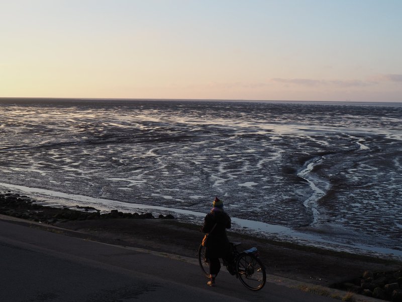 The Wadden sea off the Lauwersmeer national park