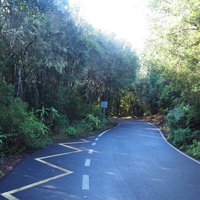 The road in the park towards Juego de Bolas