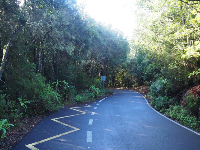 The road in the park towards Juego de Bolas