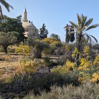 Hala Sultan Tekke and Larnaka Salt Lake Complex
