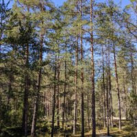 Plaque of Sammallahdenmäki