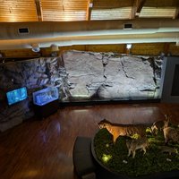 Ulsan Petroglyph Museum