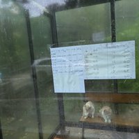 Bus Schedule Haeinsa 2024