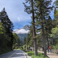 Mountain view near Primeval Forest, JIuzhaigou