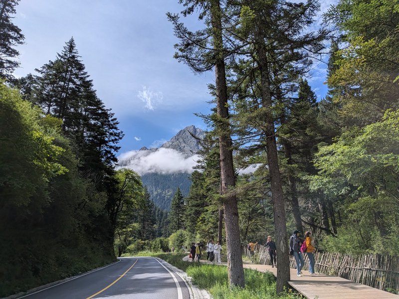 Mountain view near Primeval Forest, JIuzhaigou