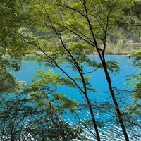 Turquoise Pools of Jiuzhaigou