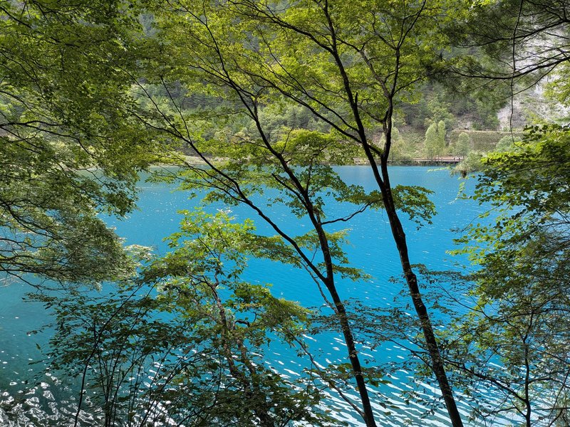 Turquoise Pools of Jiuzhaigou