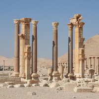 Palmyra