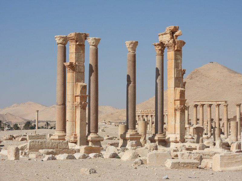 Palmyra