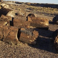 Petrified Forest