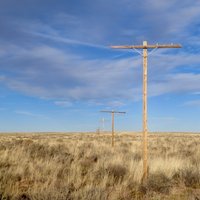 Petrified Forest National Park