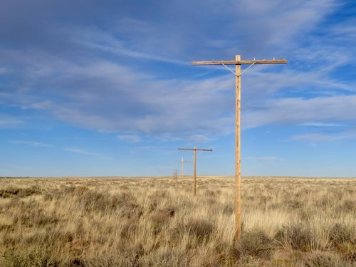 Petrified Forest National Park