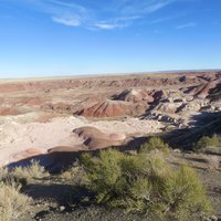 Petrified Forest National Park
