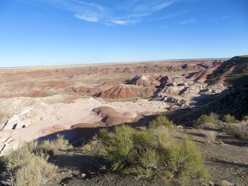 Petrified Forest National Park (KJM)
