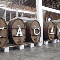 Wineries and Vineyards for traditional Pisco Production