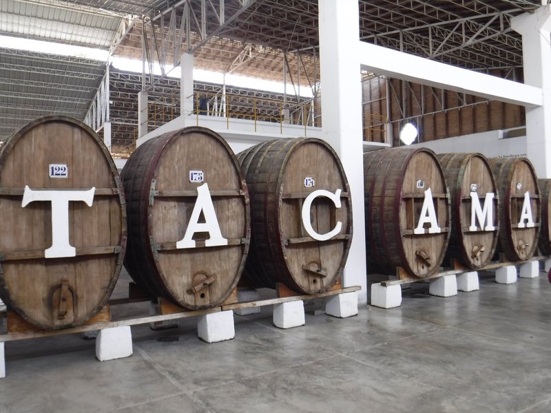 Wineries and Vineyards for traditional Pisco Production