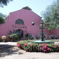 Wineries and Vineyards for traditional Pisco Production