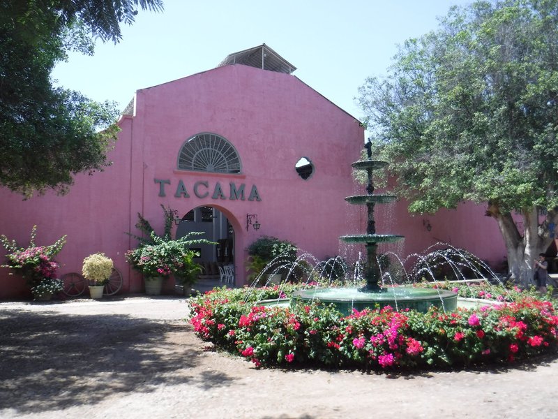 Wineries and Vineyards for traditional Pisco Production