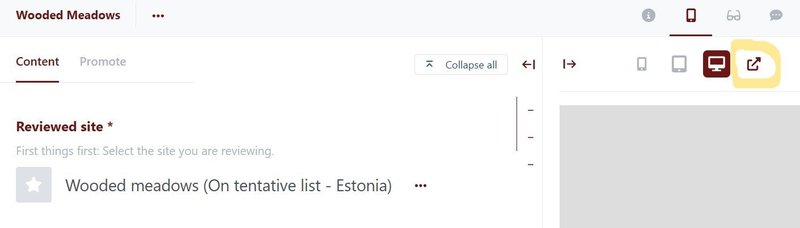 Choose the option to the far right (marked yellow) to open the preview in a new window