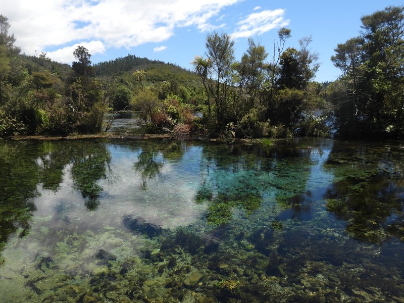Waikoropupu Springs