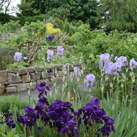 Monastery Garden (Klostergarten), Lorsch