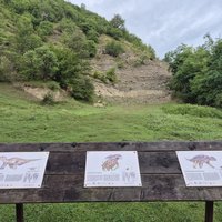Sinpetru site