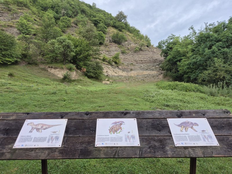 Sinpetru site