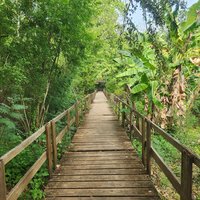 Parque Nacional Manglares de Old Point, Seaflower Marine Protected Area
