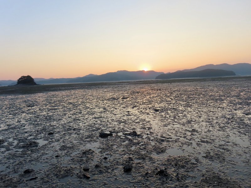 Garorim Bay is an area with a unique semi-enclosed marine environment and extensive tidal flats, and is recognized for its high value in terms of biodiversity conservation.