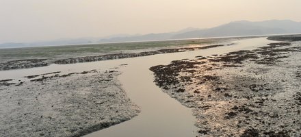 Getbol, Korean Tidal Flats (Extension) 