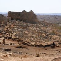 Sheep crossing Serjilla