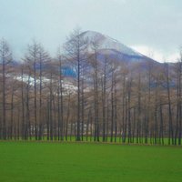 Mt. Rausu Shiretoko