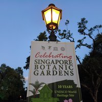 SingaporeBotanicGarden