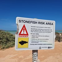 Stonefish warning