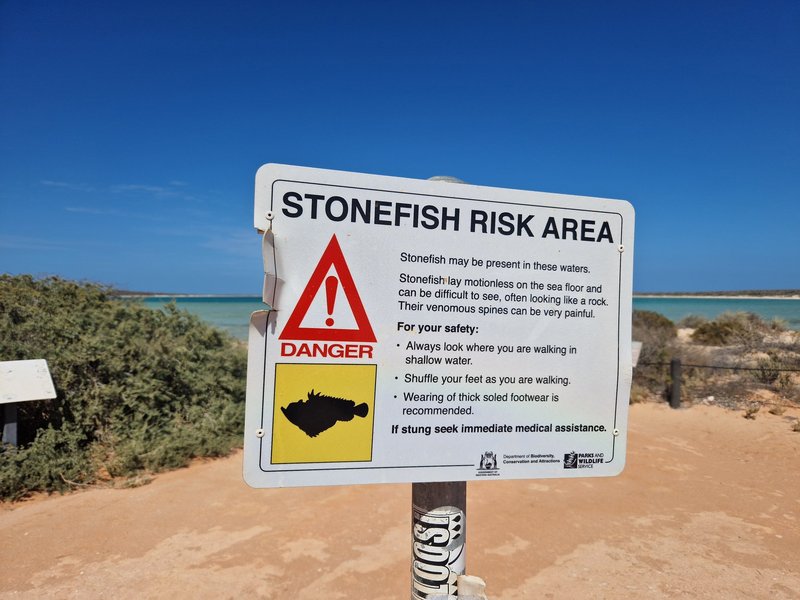 Stonefish warning