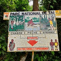 Tai National Park