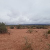 Talampaya, Ischigualasto / Talampaya