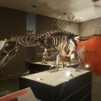 Museo de Ciencias Naturales de Ischigualasto, Ischigualasto / Talampaya