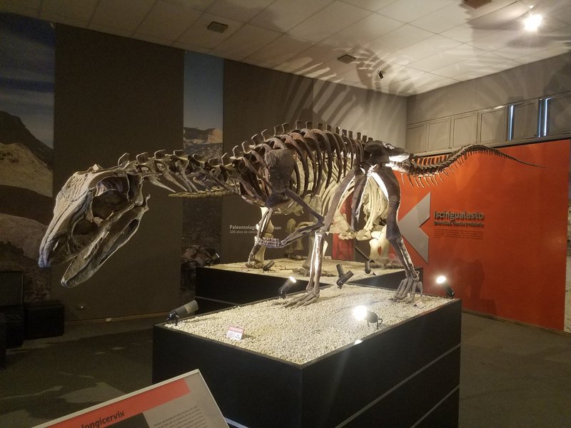 Museo de Ciencias Naturales de Ischigualasto, Ischigualasto / Talampaya