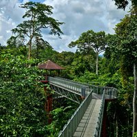 Taman Negara