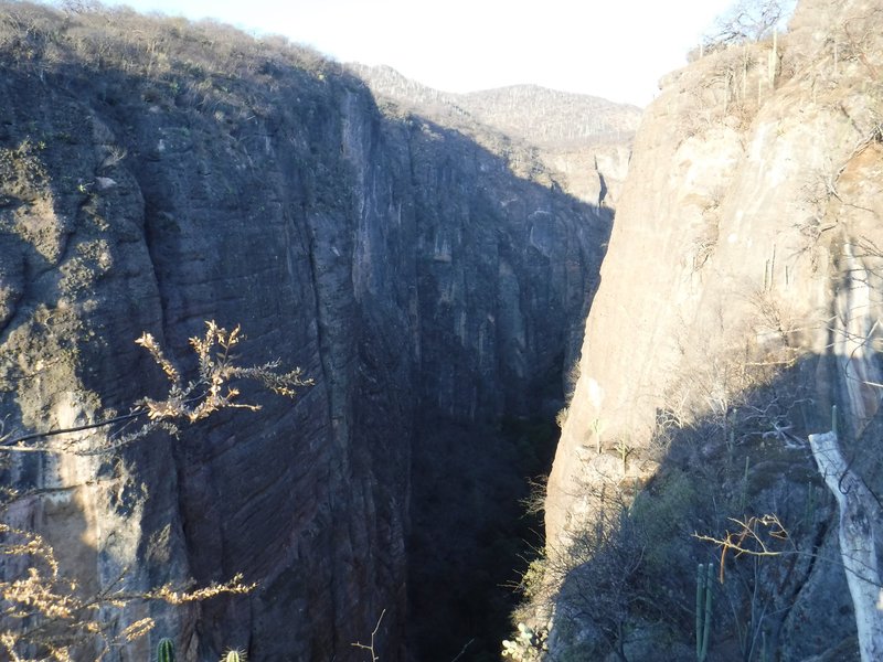 Sabino Canyon, Tehuacán-Cuicatlán Valley