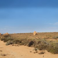 Termite Mounds