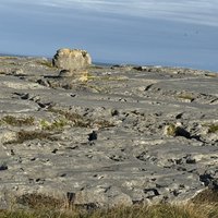 The Burren