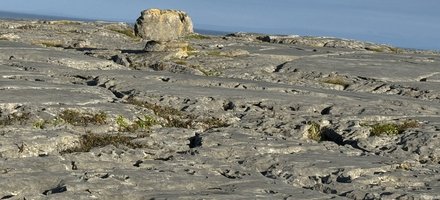 The Burren